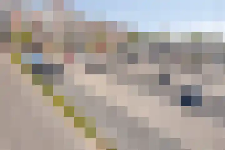 Genovevalaan 32 Eindhoven thumbnail 37