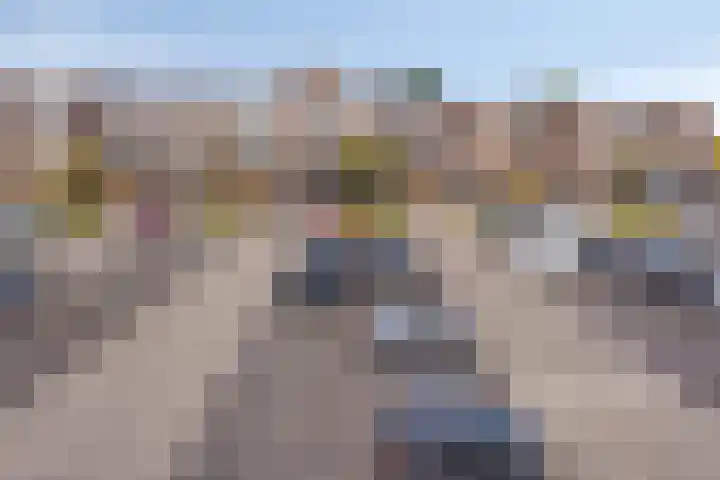 Genovevalaan 32 Eindhoven thumbnail 38