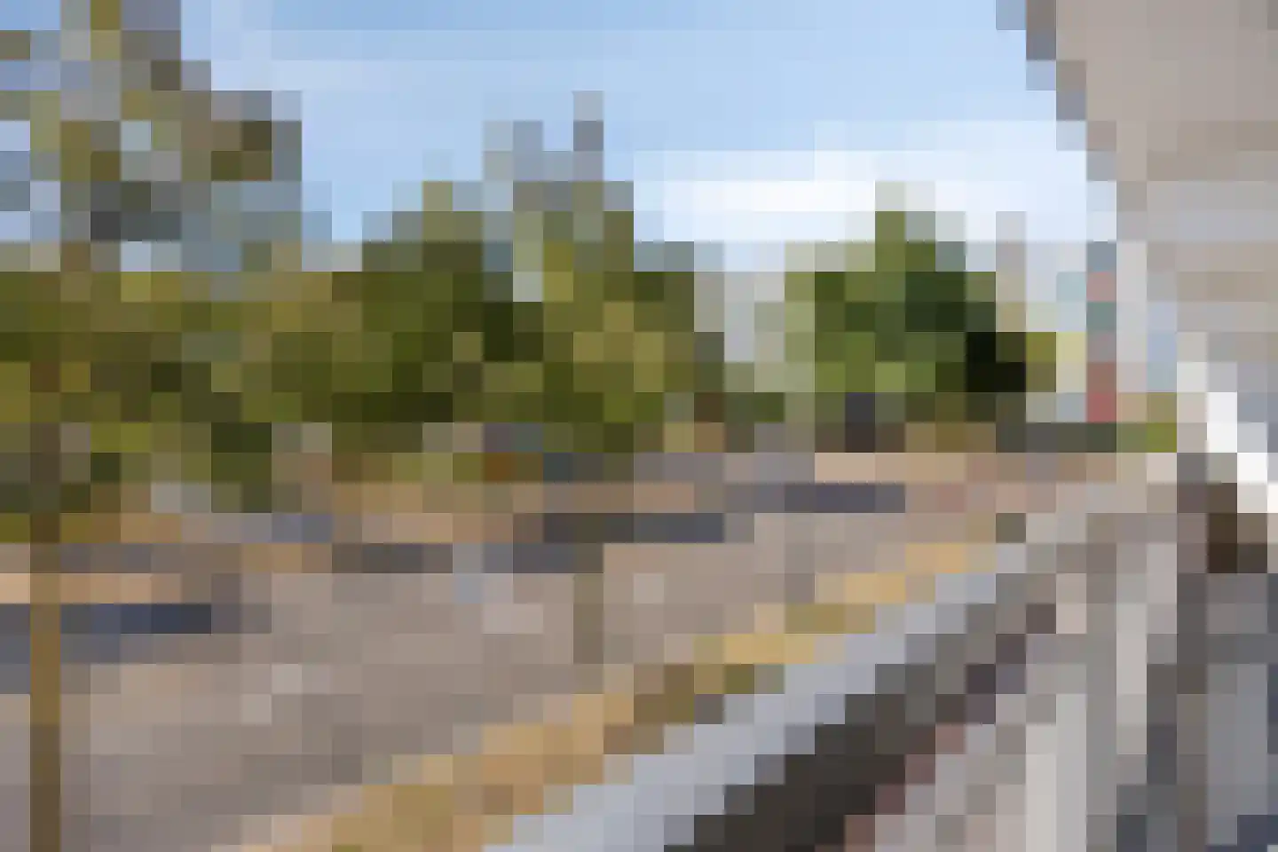 Genovevalaan 56 Eindhoven thumbnail 32