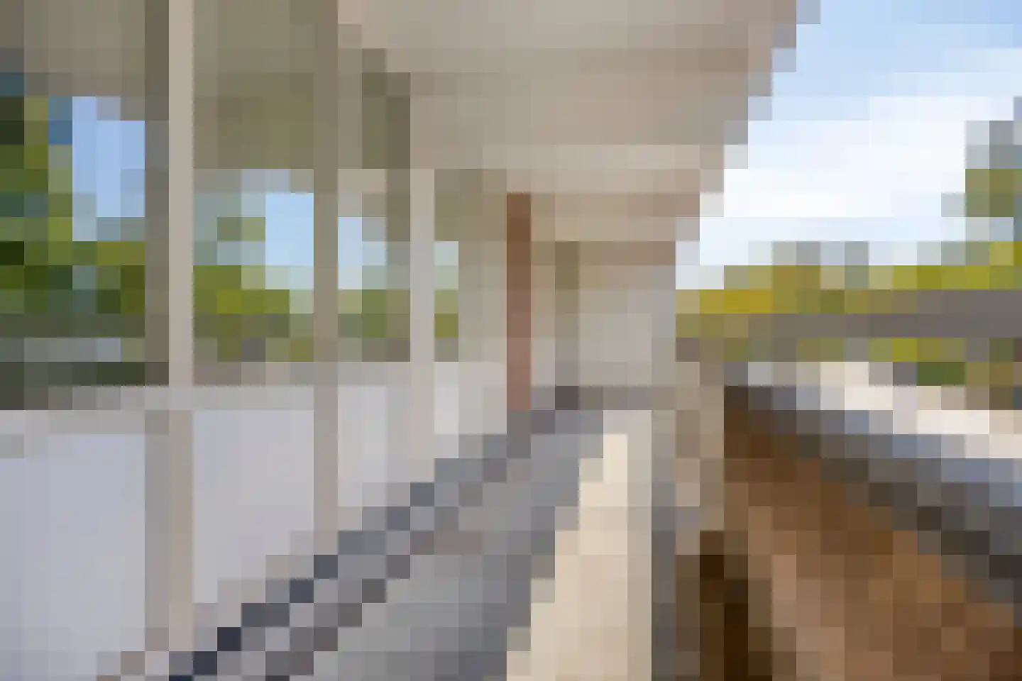 Genovevalaan 56 Eindhoven thumbnail 9