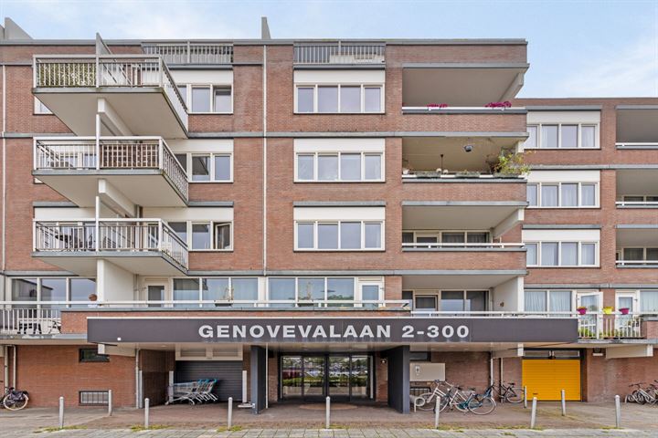 Genovevalaan 6 in Eindhoven Foto
