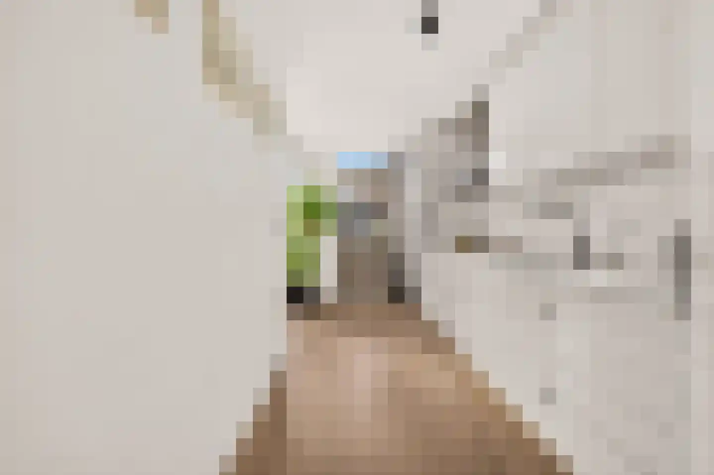 Genovevalaan 73 Eindhoven thumbnail 20