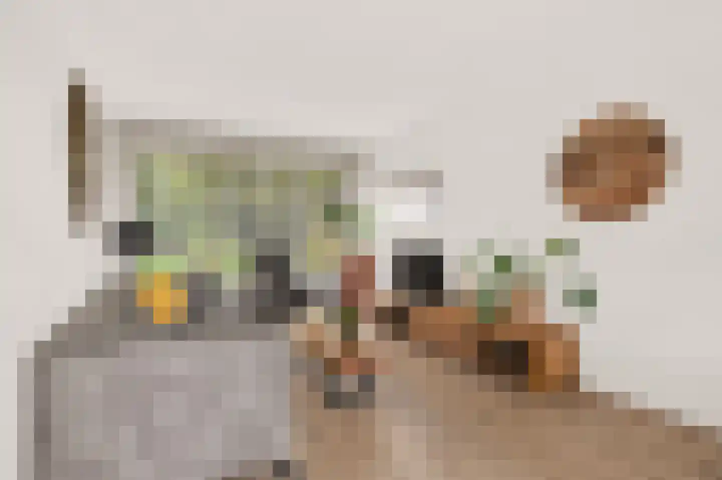 Genovevalaan 73 Eindhoven thumbnail 9