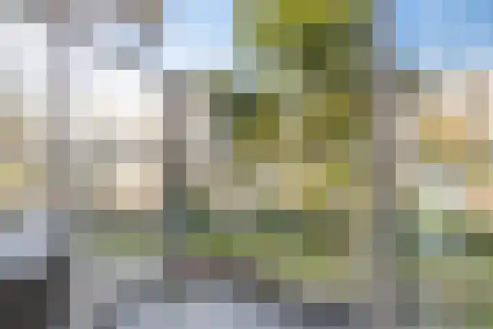 Genovevalaan 86 Eindhoven thumbnail 12
