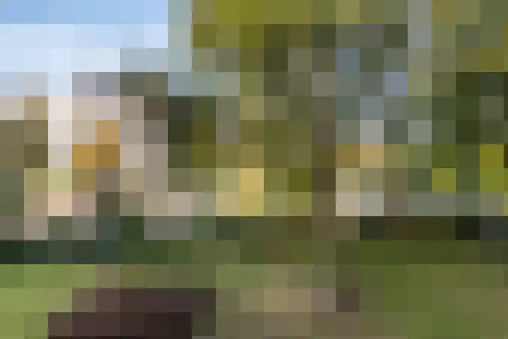 Genovevalaan 86 Eindhoven thumbnail 13
