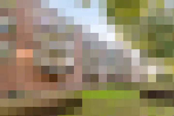 Genovevalaan 86 Eindhoven thumbnail 17