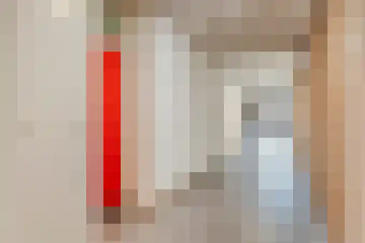 Genovevalaan 86 Eindhoven thumbnail 5