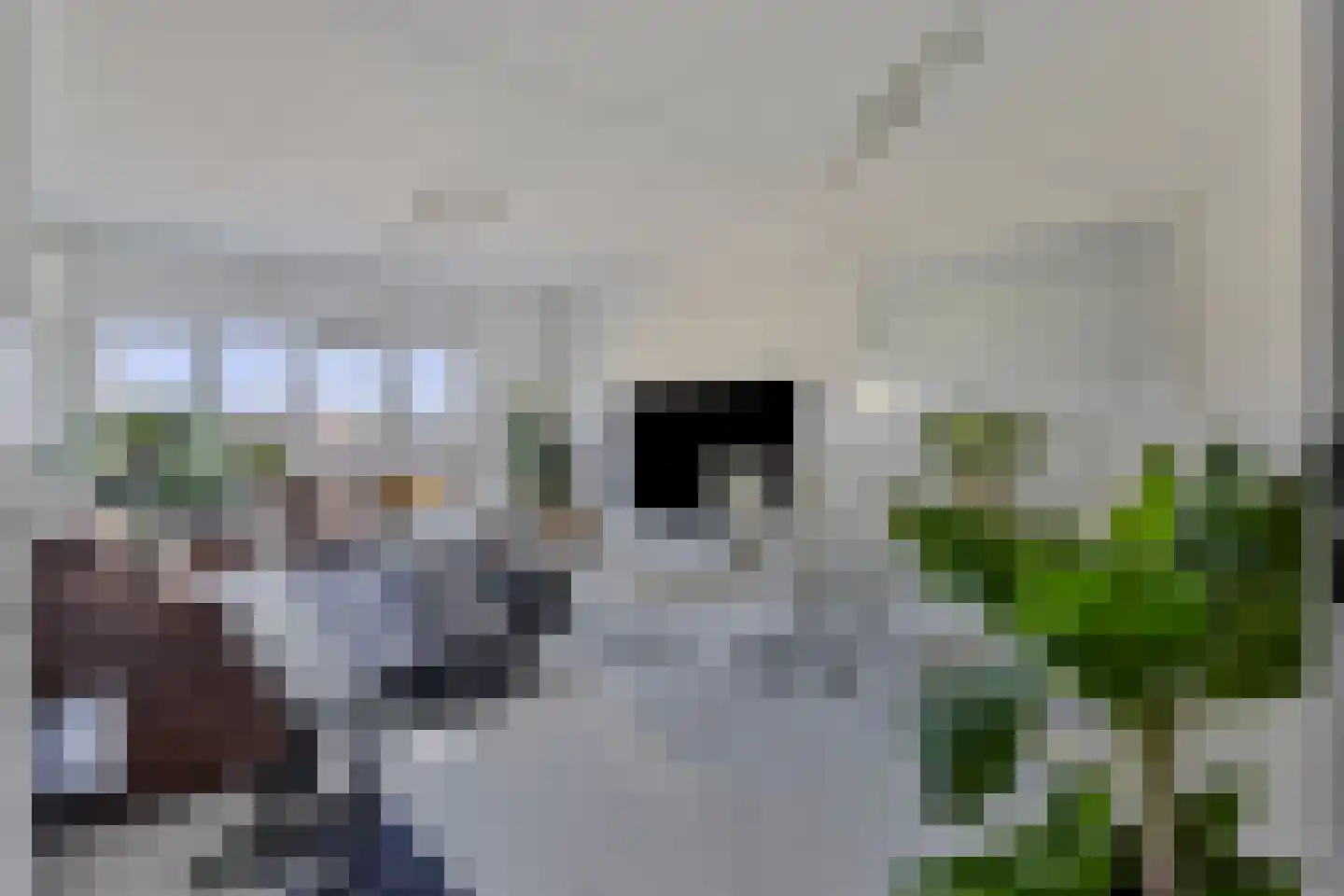 Genovevalaan 98 Eindhoven thumbnail 13