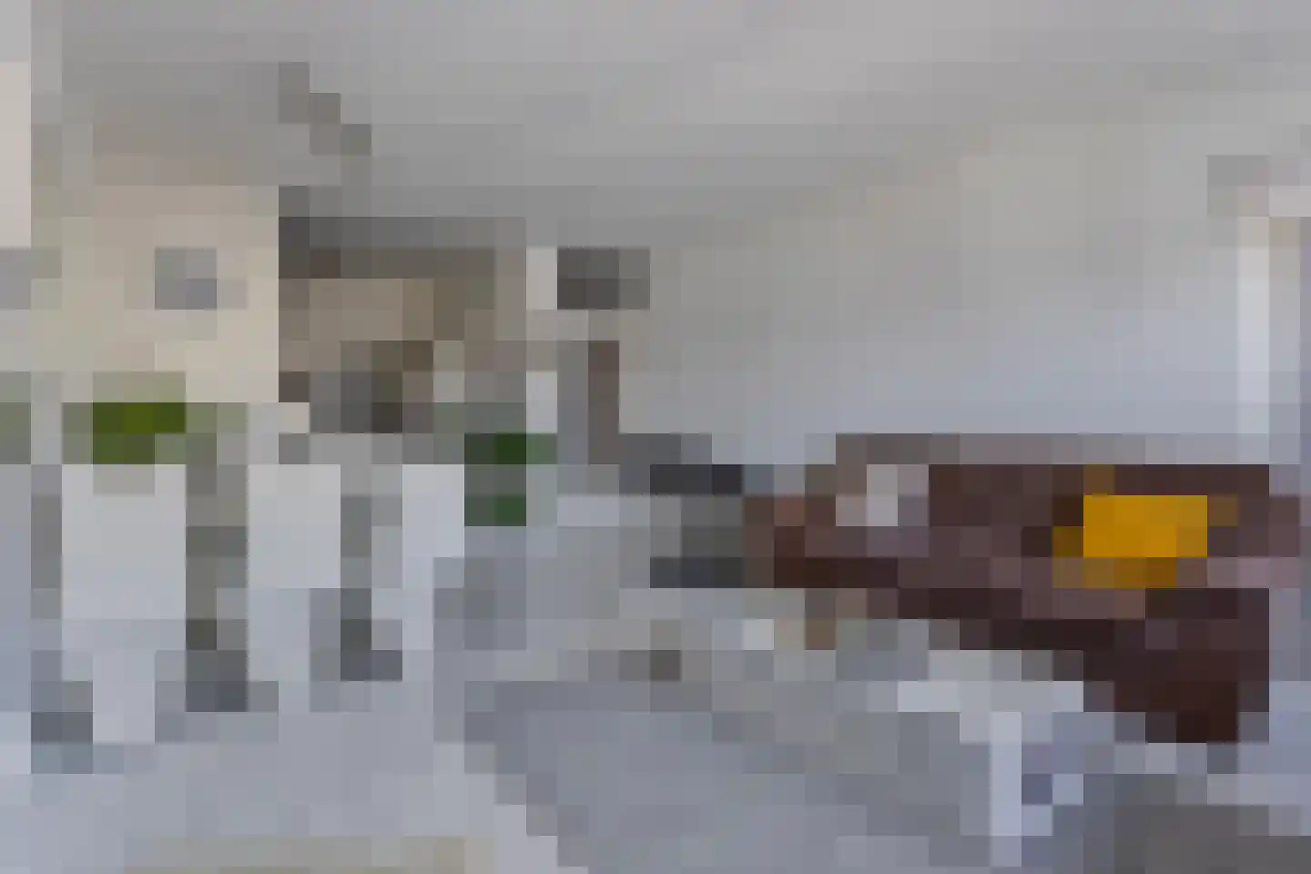 Genovevalaan 98 Eindhoven thumbnail 14