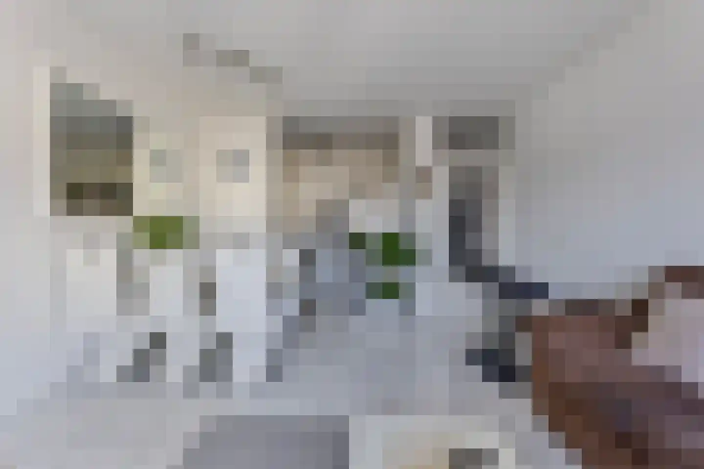 Genovevalaan 98 Eindhoven thumbnail 15