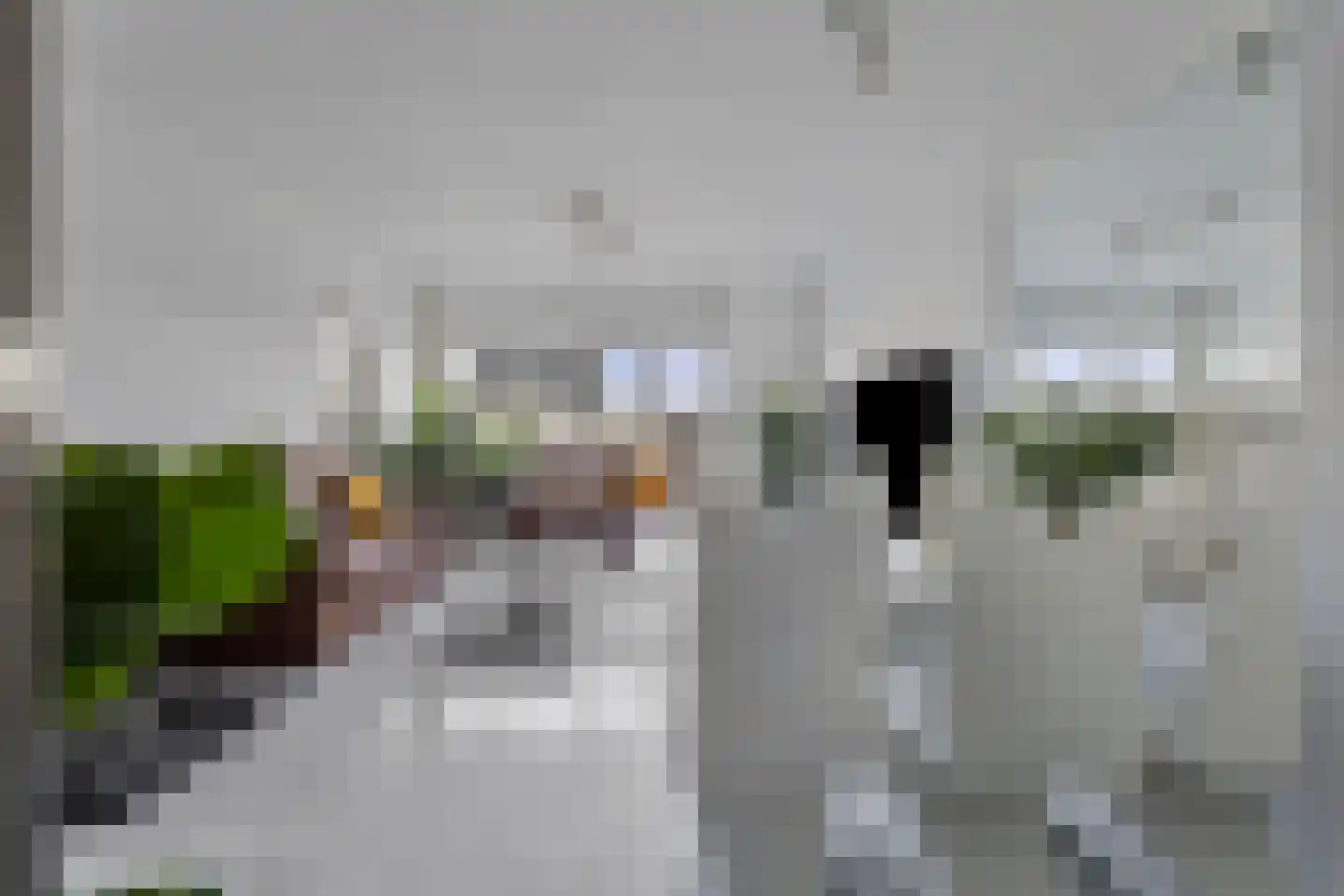 Genovevalaan 98 Eindhoven thumbnail 17