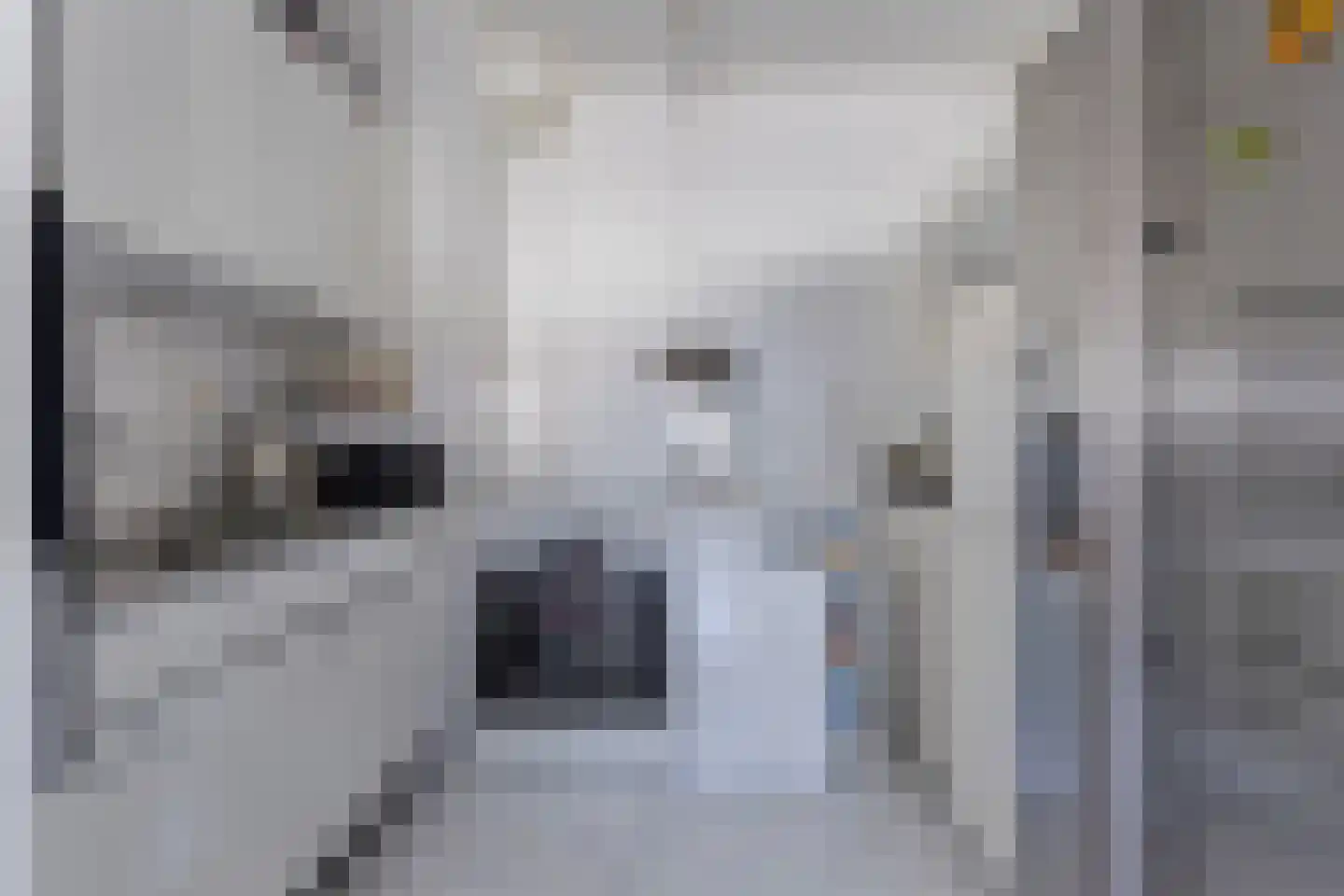 Genovevalaan 98 Eindhoven thumbnail 18