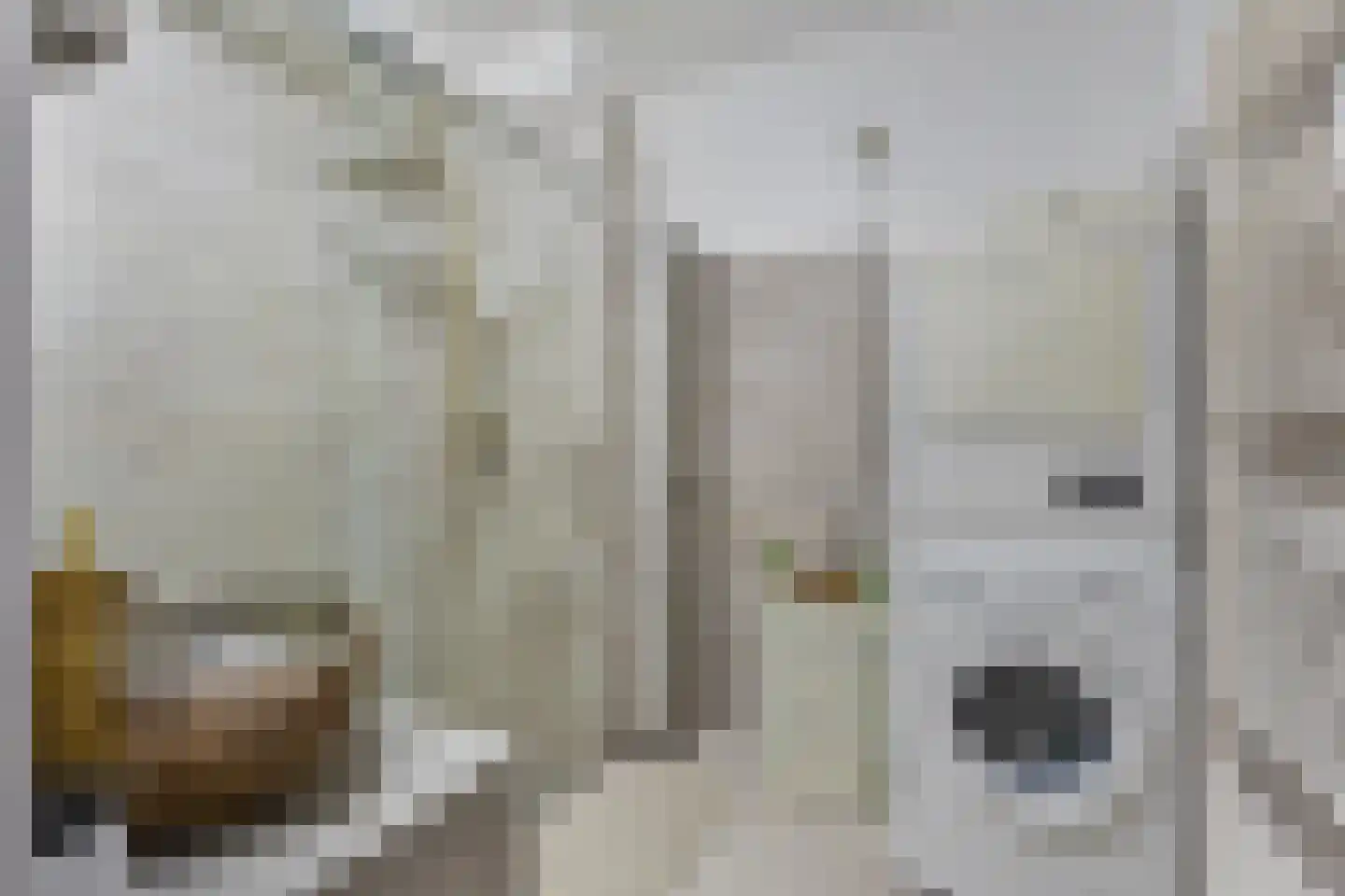 Genovevalaan 98 Eindhoven thumbnail 22