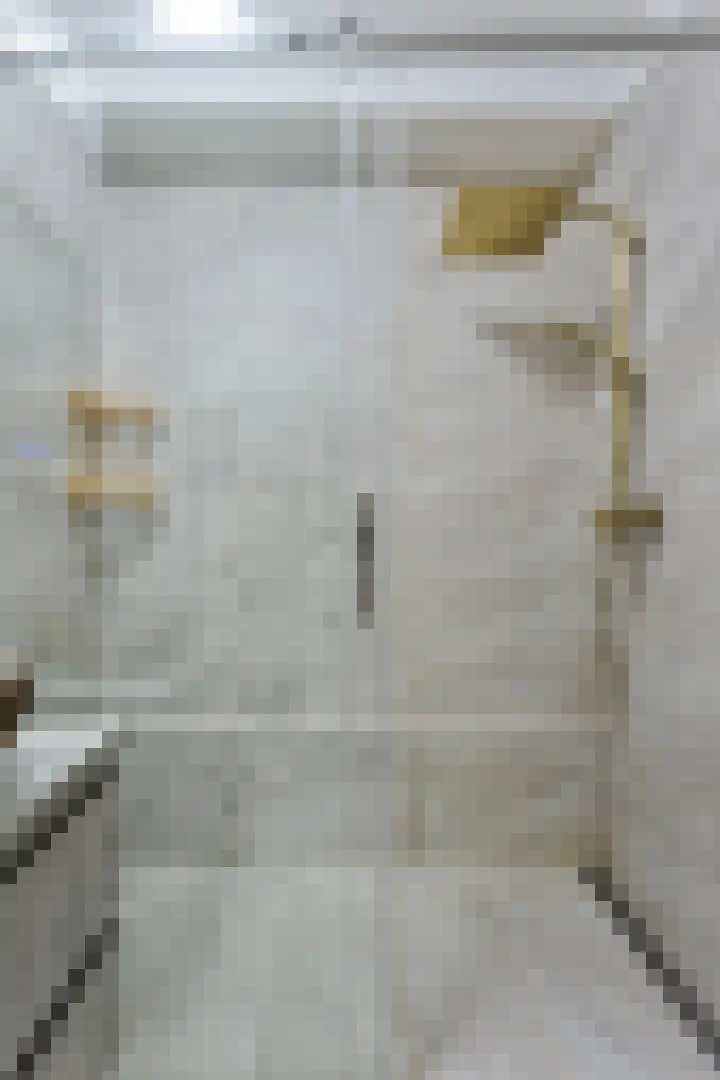 Genovevalaan 98 Eindhoven thumbnail 23