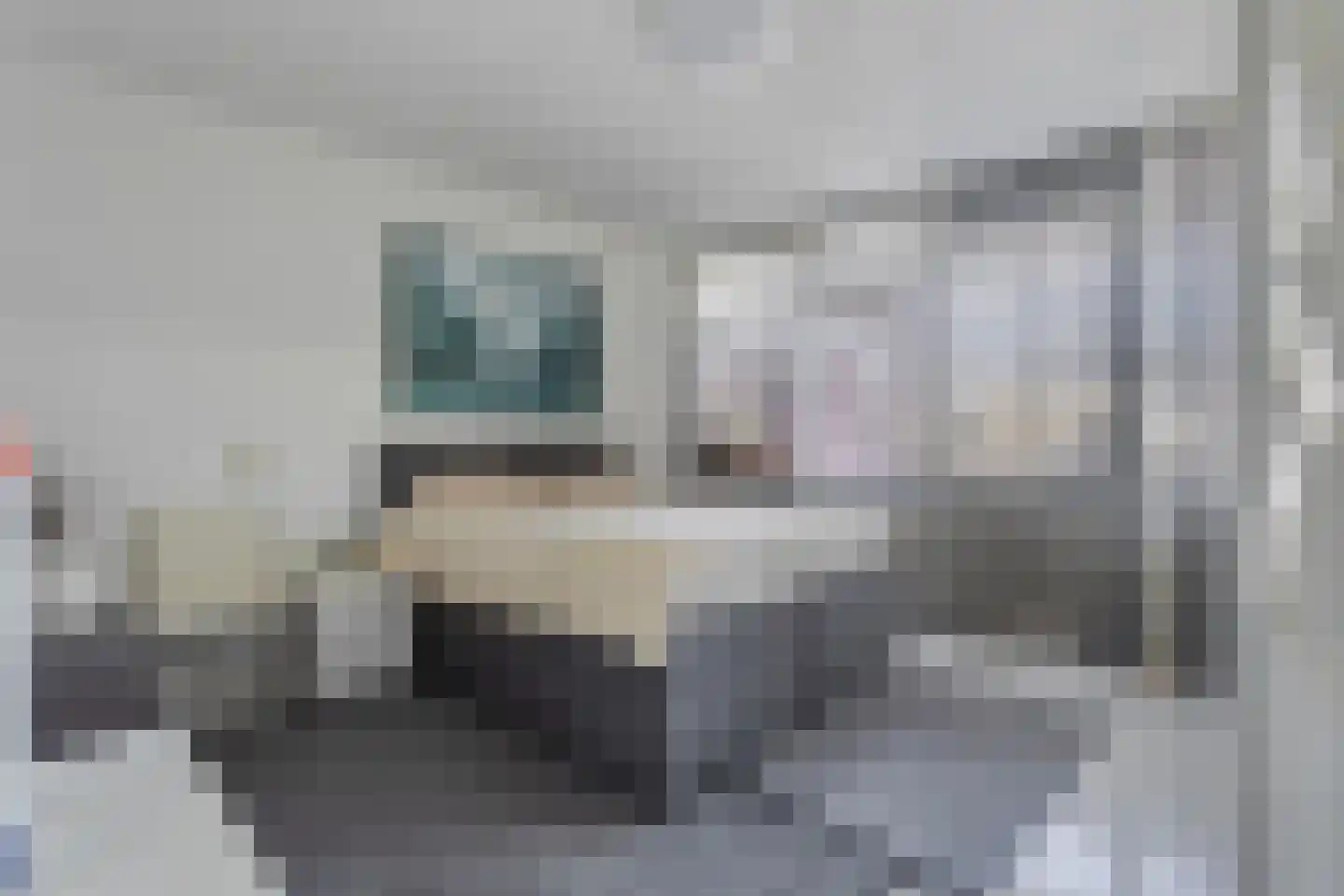Genovevalaan 98 Eindhoven thumbnail 25