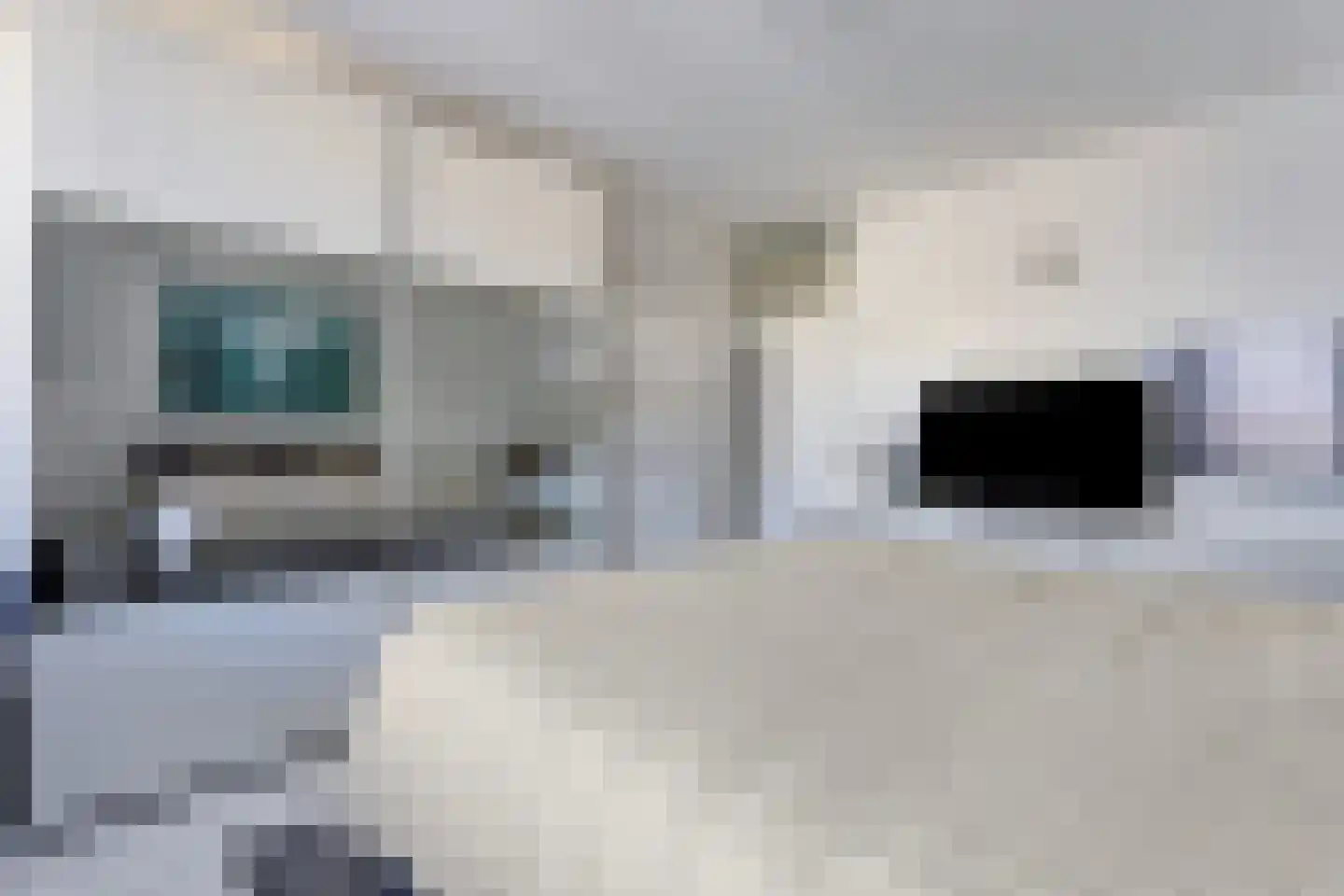 Genovevalaan 98 Eindhoven thumbnail 26