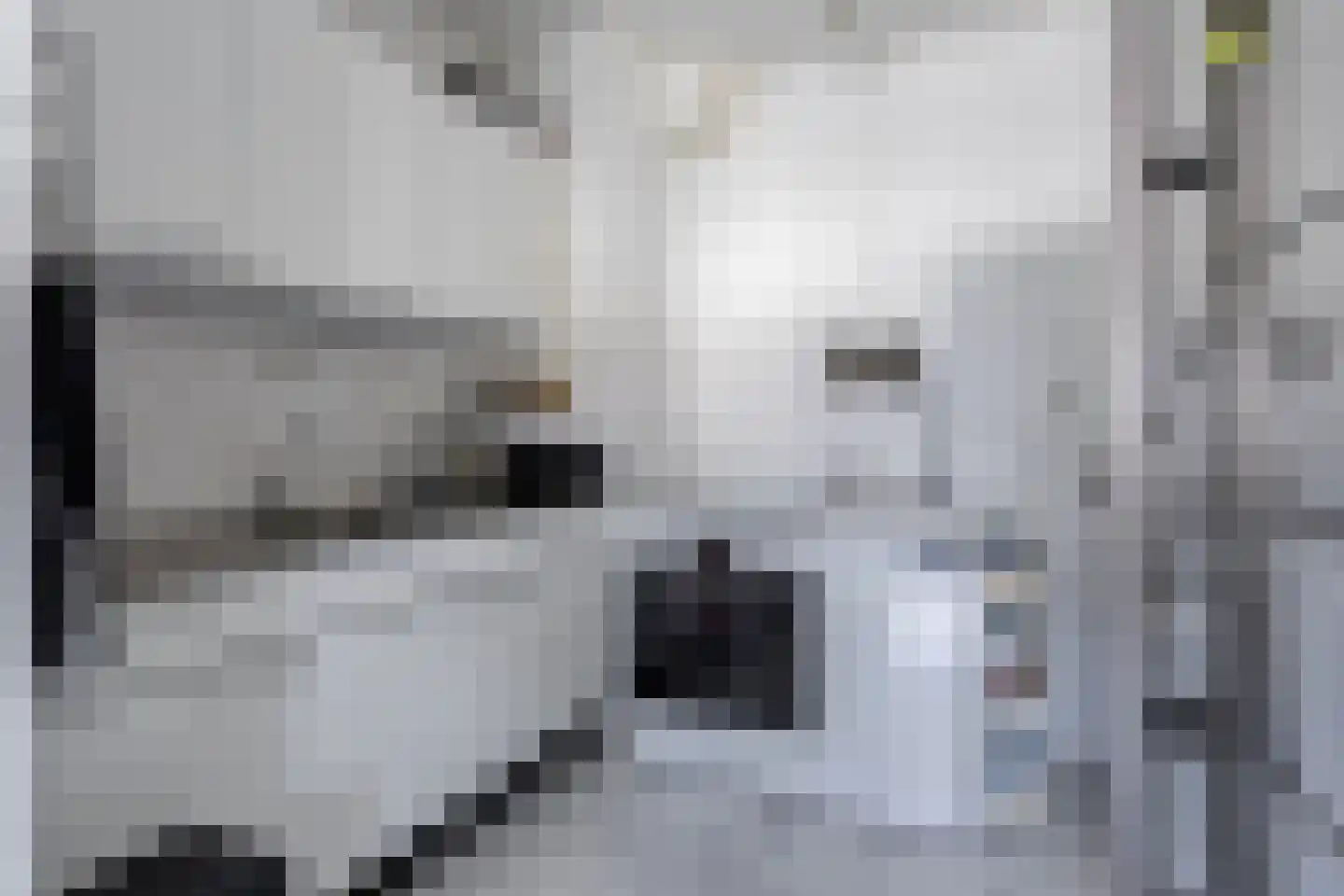 Genovevalaan 98 Eindhoven thumbnail 4
