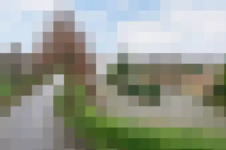 Genrayweg 49 Venlo thumbnail 12