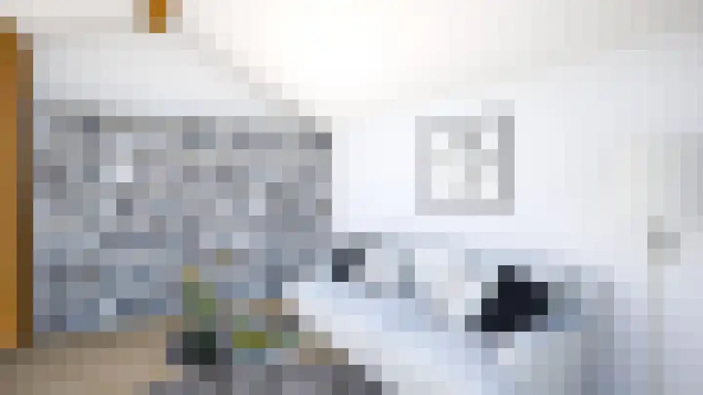 Genrayweg 49 Venlo thumbnail 8