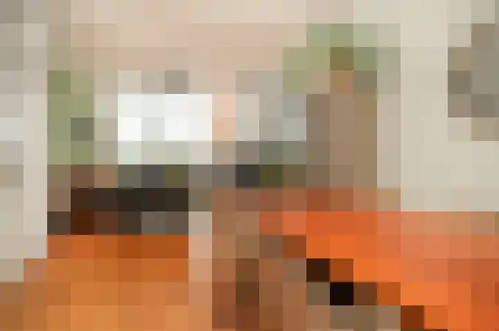 Genteldijk 24 Geldermalsen thumbnail 10