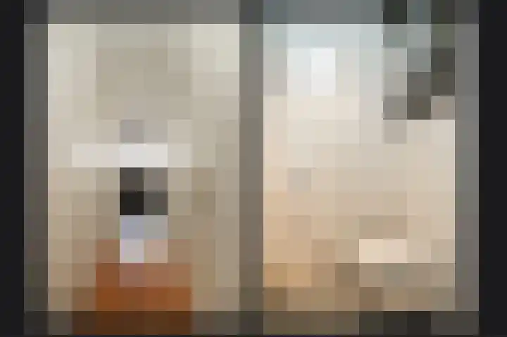 Genteldijk 24 Geldermalsen thumbnail 12