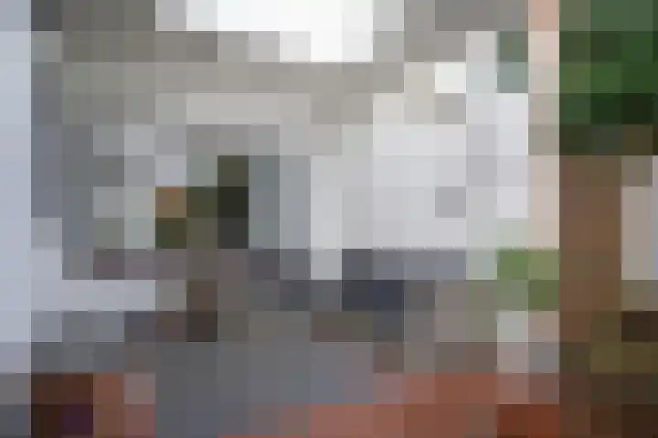 Genteldijk 24 Geldermalsen thumbnail 30