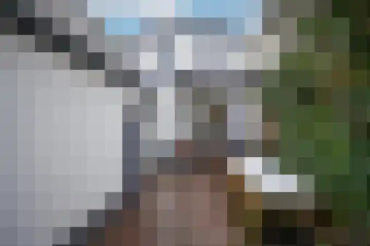 Genteldijk 24 Geldermalsen thumbnail 31