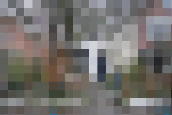 Genteldijk 24 Geldermalsen thumbnail 36