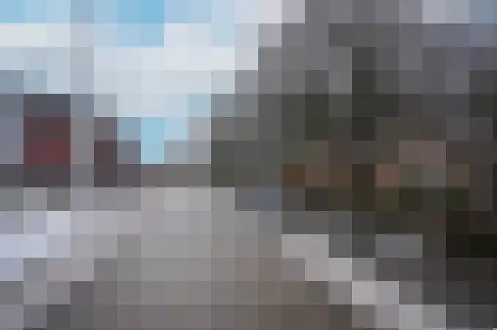Genteldijk 24 Geldermalsen thumbnail 38