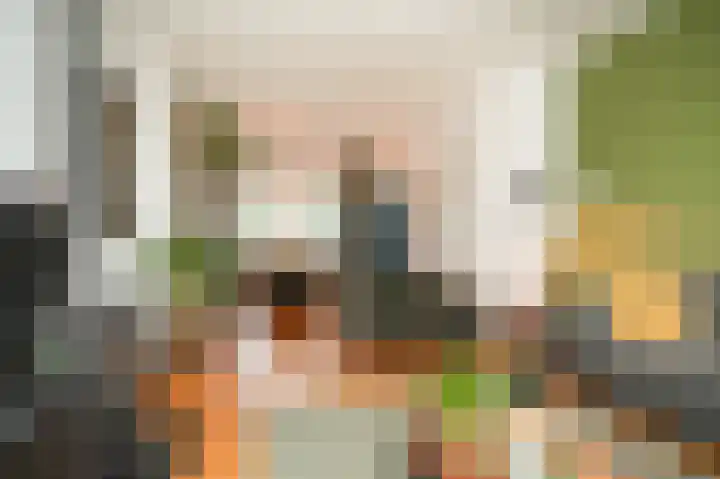 Genteldijk 24 Geldermalsen thumbnail 6