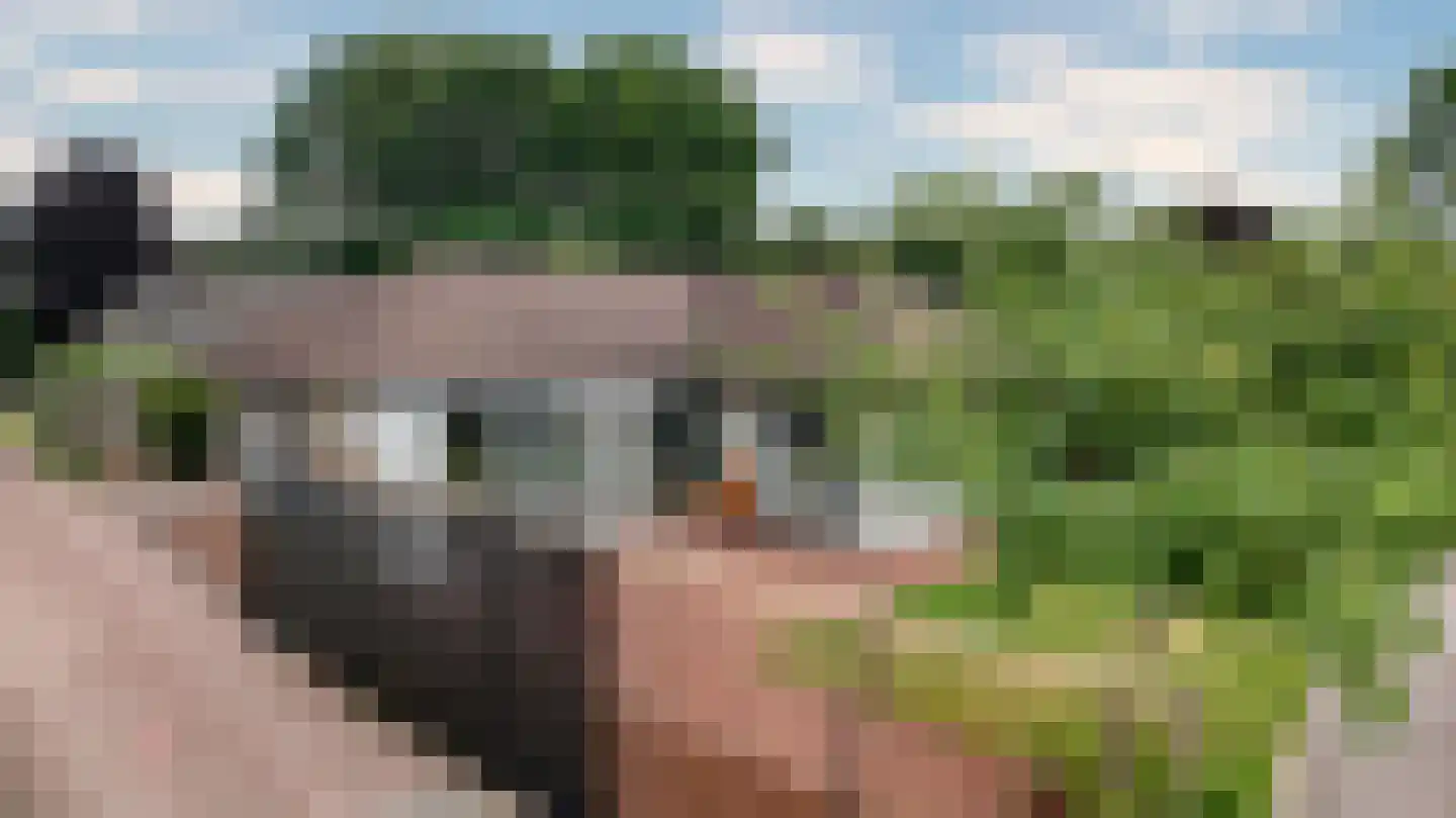 Gentenerf 10 17 Ermelo thumbnail 4