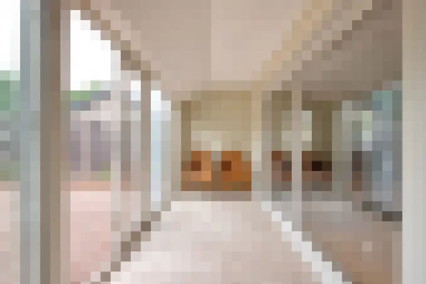 Gentenerf 10 17 Ermelo thumbnail 9
