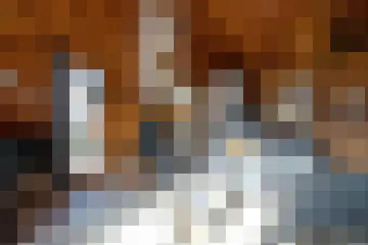 Gentenerf 10 24 Ermelo thumbnail 10