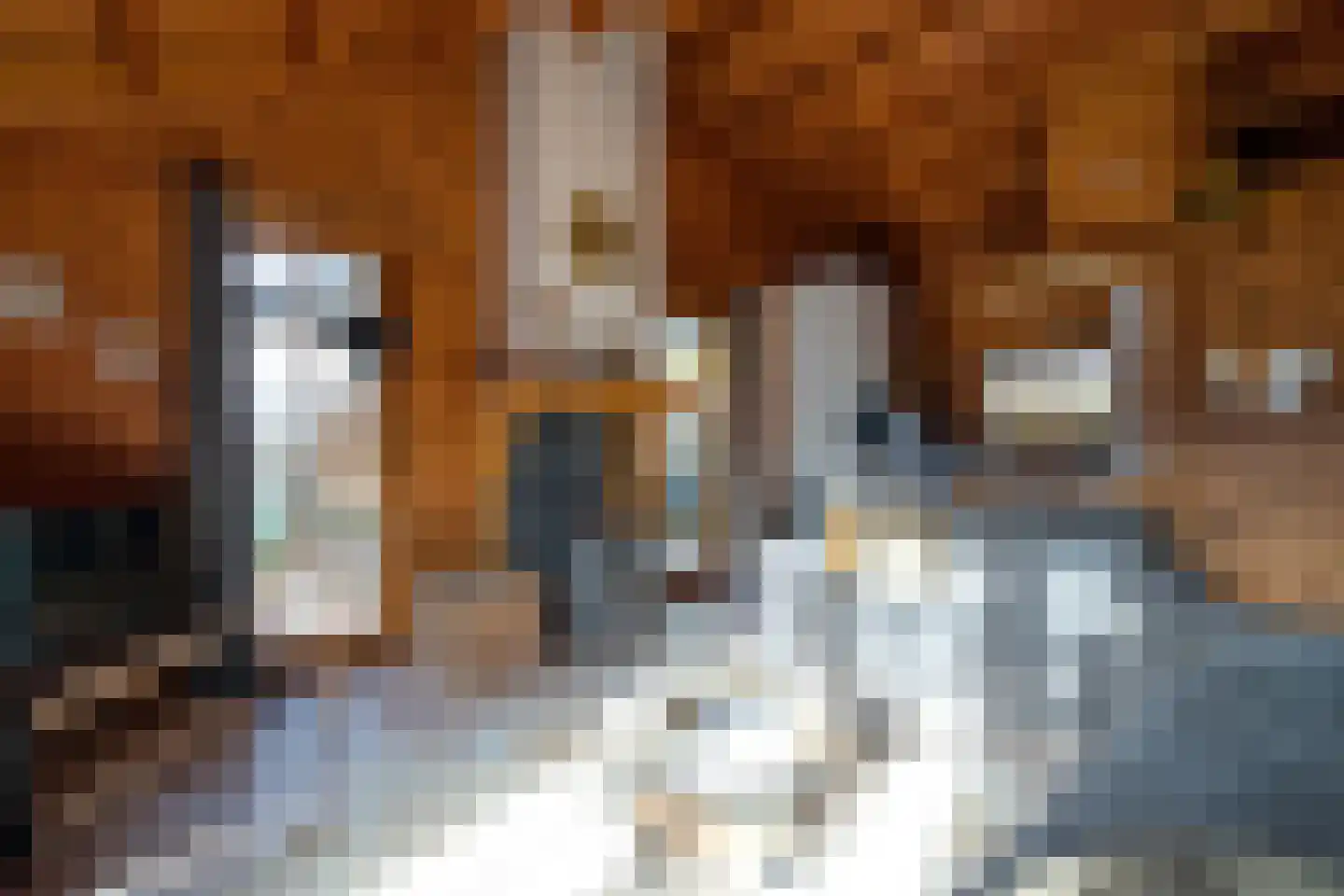 Gentenerf 10 24 Ermelo thumbnail 10