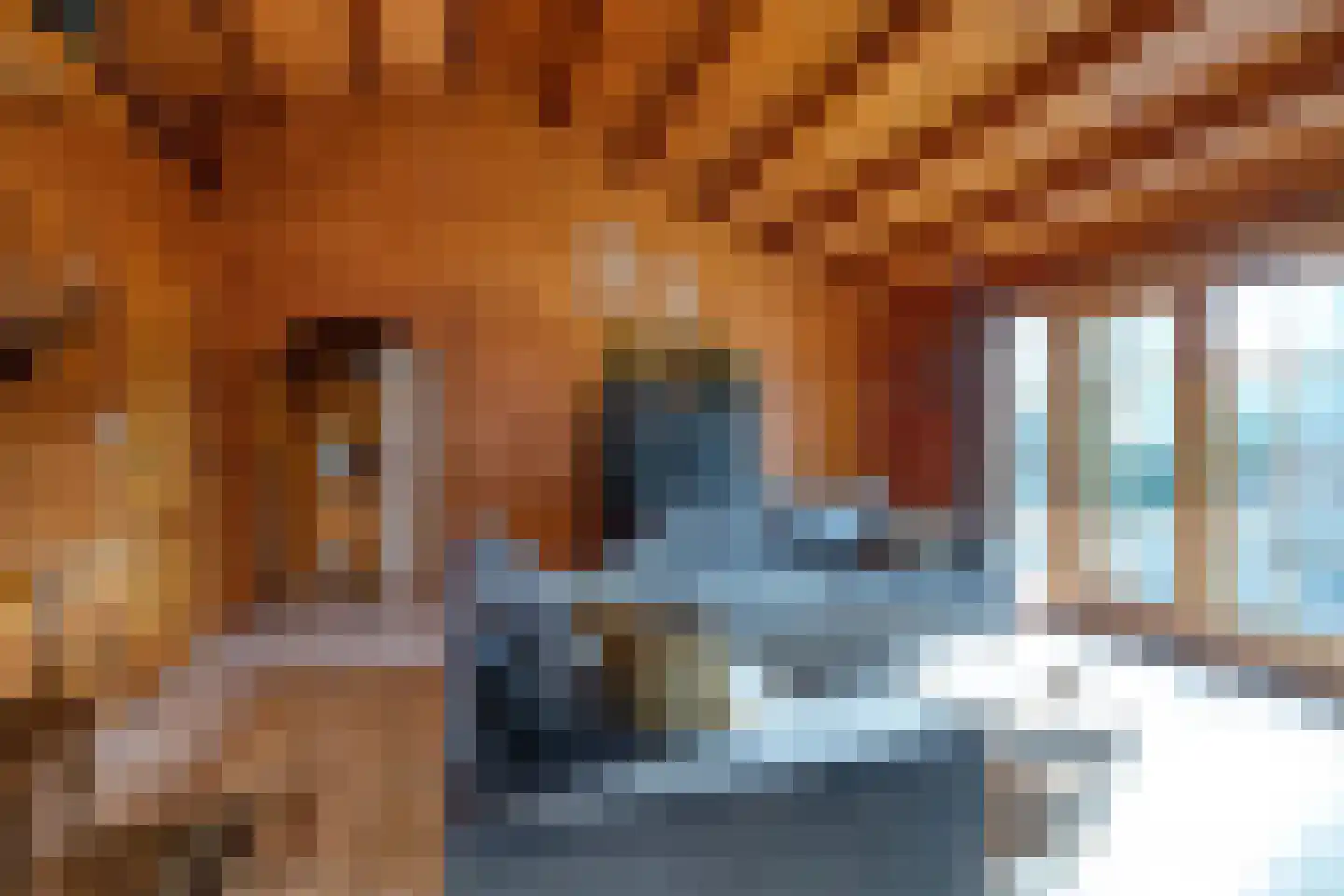 Gentenerf 10 24 Ermelo thumbnail 13