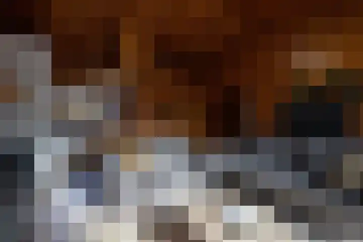 Gentenerf 10 24 Ermelo thumbnail 14