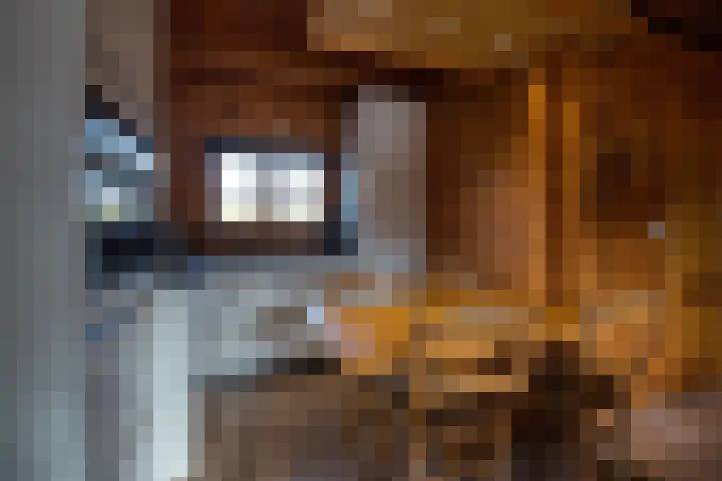 Gentenerf 10 24 Ermelo thumbnail 15