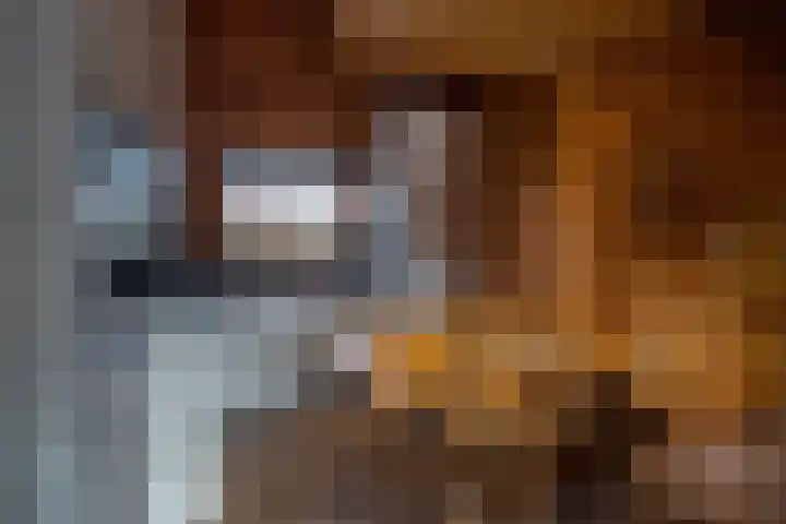 Gentenerf 10 24 Ermelo thumbnail 15