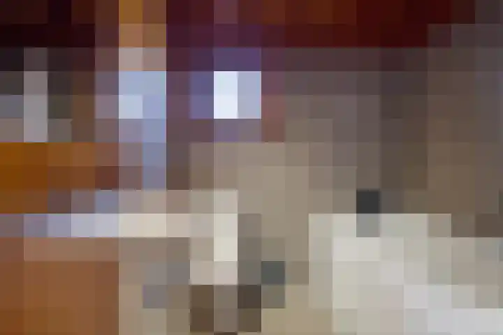 Gentenerf 10 24 Ermelo thumbnail 17
