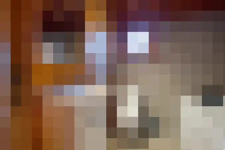 Gentenerf 10 24 Ermelo thumbnail 18