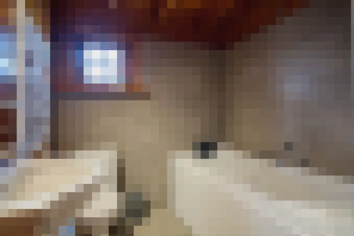 Gentenerf 10 24 Ermelo thumbnail 19