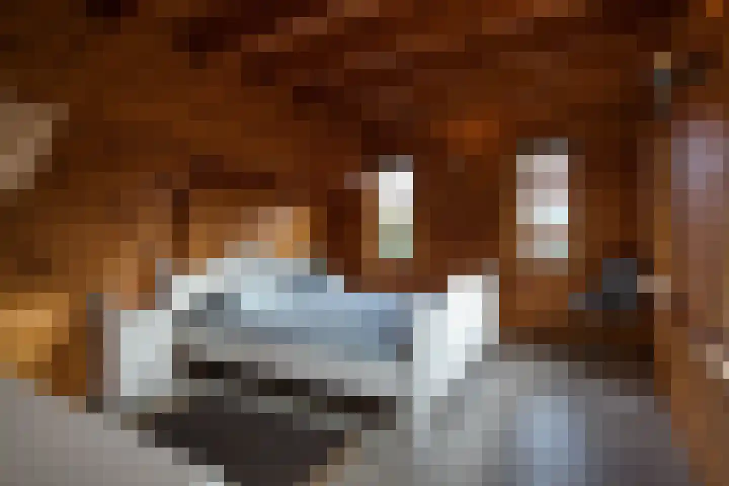 Gentenerf 10 24 Ermelo thumbnail 22