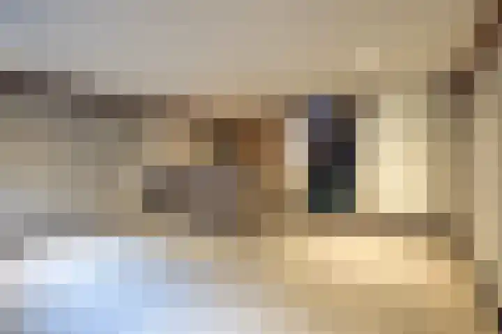 Gentenerf 10 24 Ermelo thumbnail 28