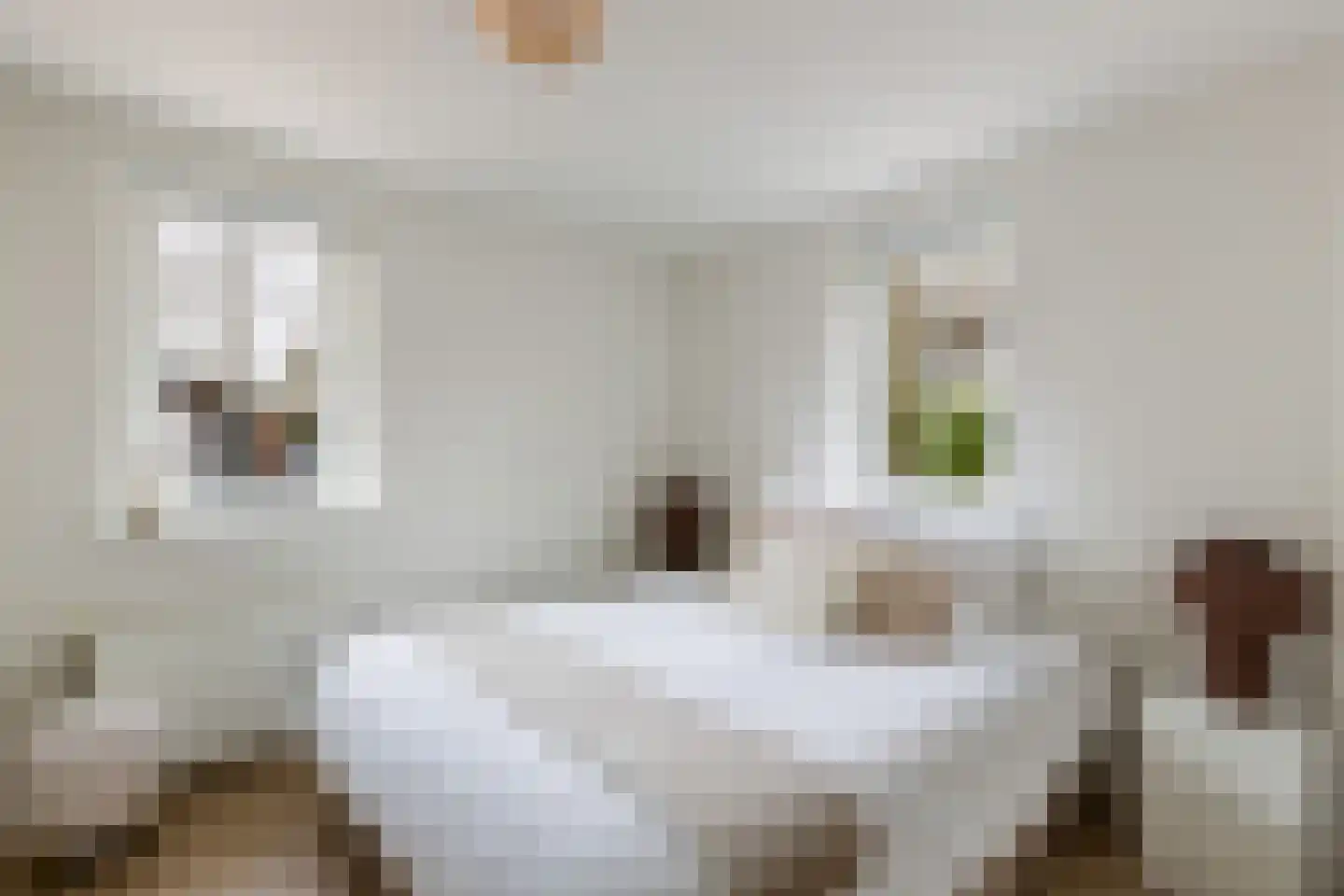 Gentenerf 10 33 Ermelo thumbnail 20