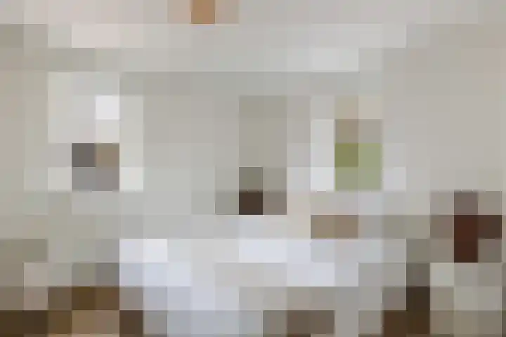 Gentenerf 10 33 Ermelo thumbnail 20