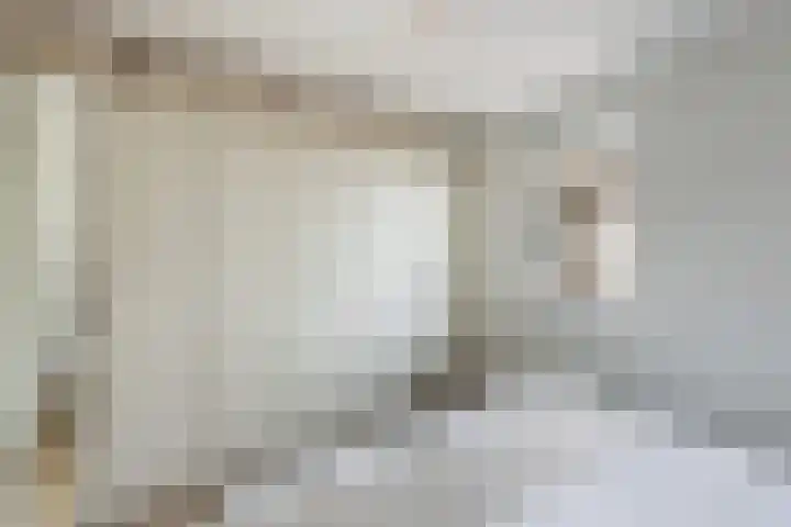 Gentenerf 10 33 Ermelo thumbnail 22
