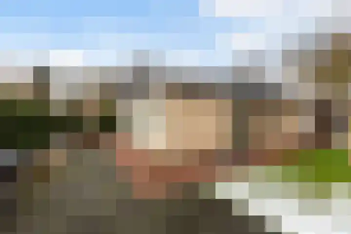 Gentenerf 10 33 Ermelo thumbnail 28