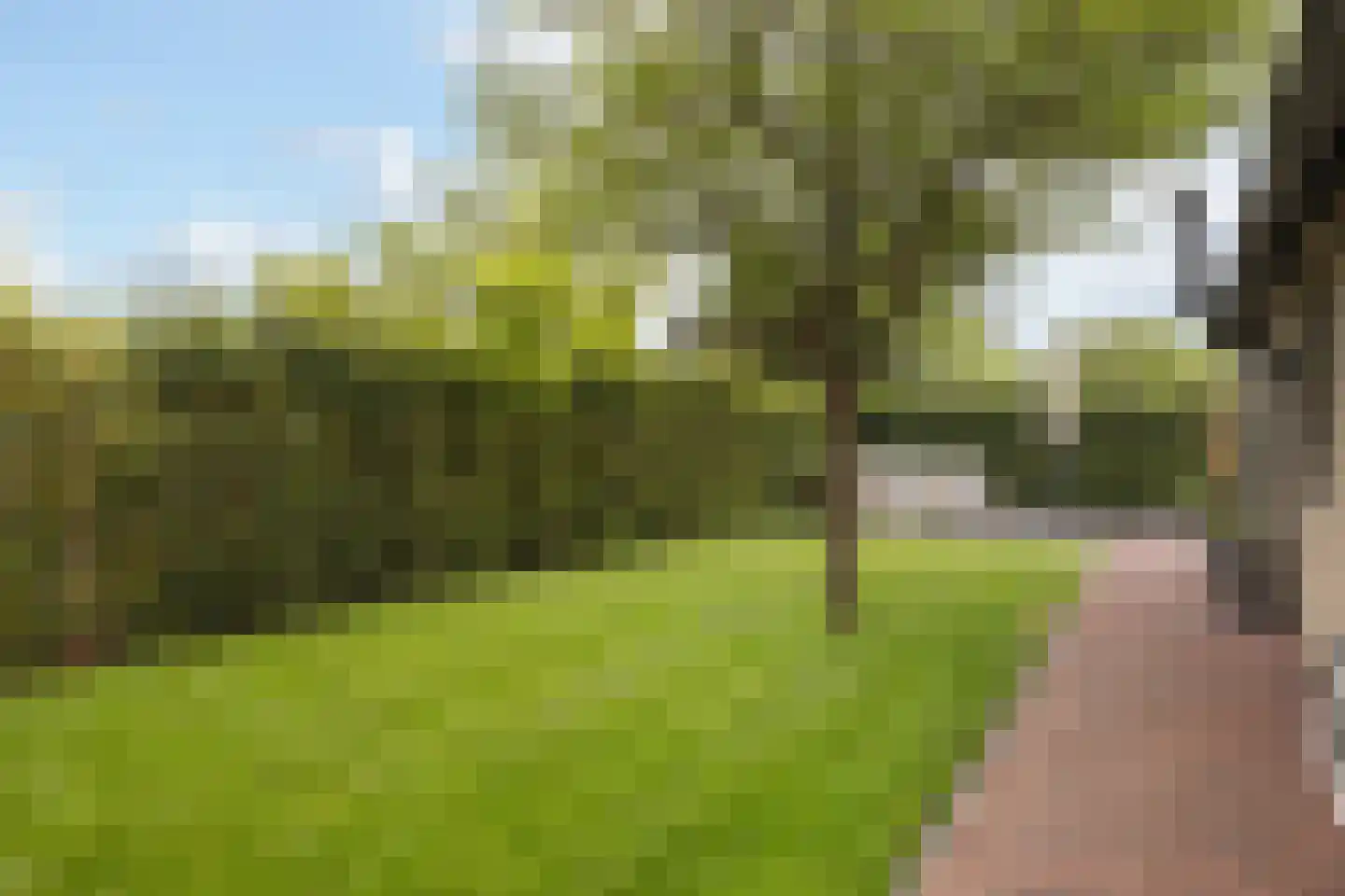 Gentenerf 10 33 Ermelo thumbnail 29