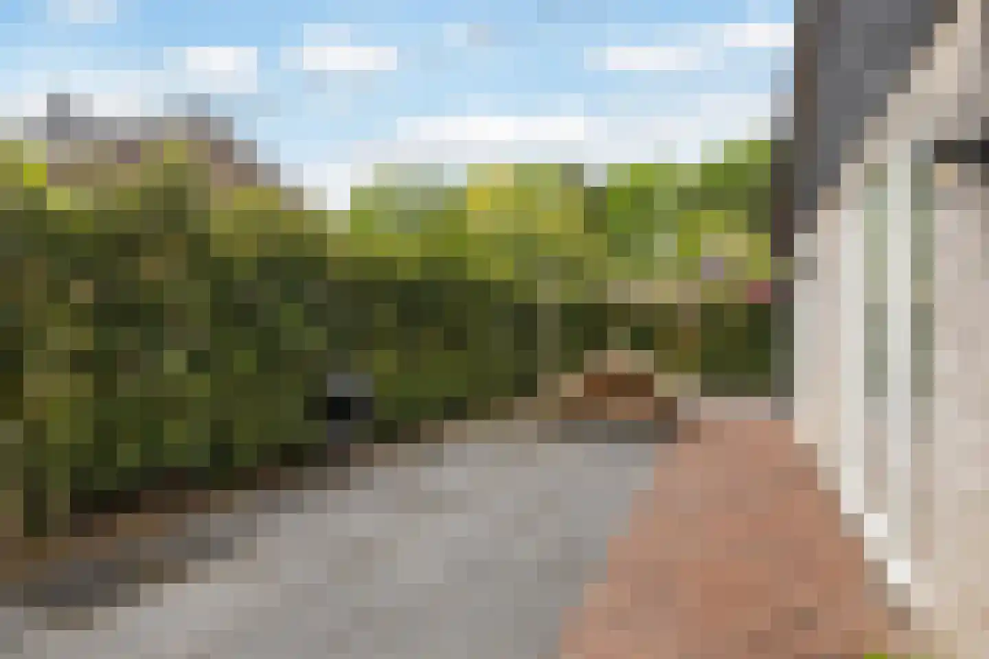 Gentenerf 10 33 Ermelo thumbnail 31