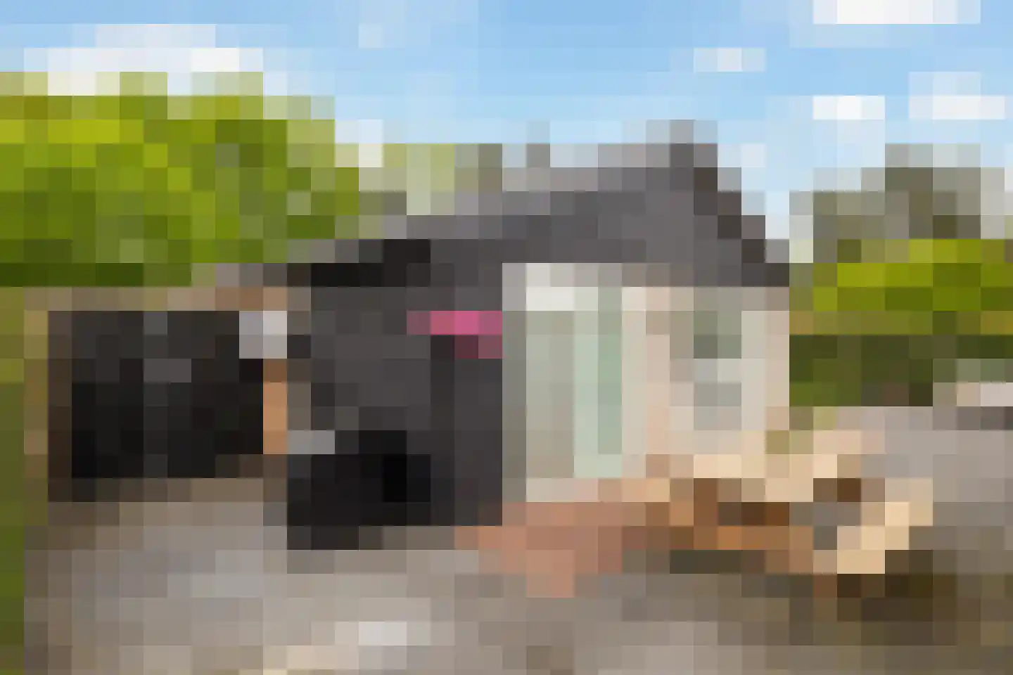 Gentenerf 10 33 Ermelo thumbnail 32
